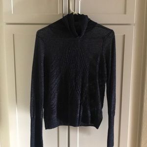 Sheer navy turtle neck (with some shimmer)